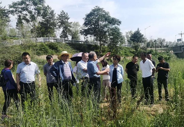 1594257321296216hw00.jpg 圖片5_副本.jpg