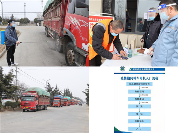 1641783780674055bsgp.jpg 綠能 圖片3.jpg