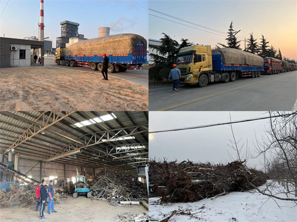 16460982454205961nXA.jpg 綠色能源.jpg