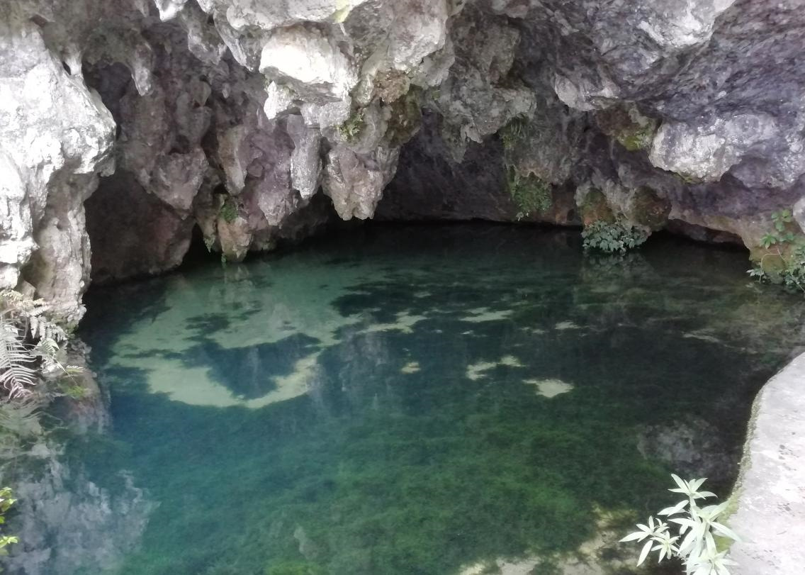 1668563314251966gaM0.jpg 60004.jpg