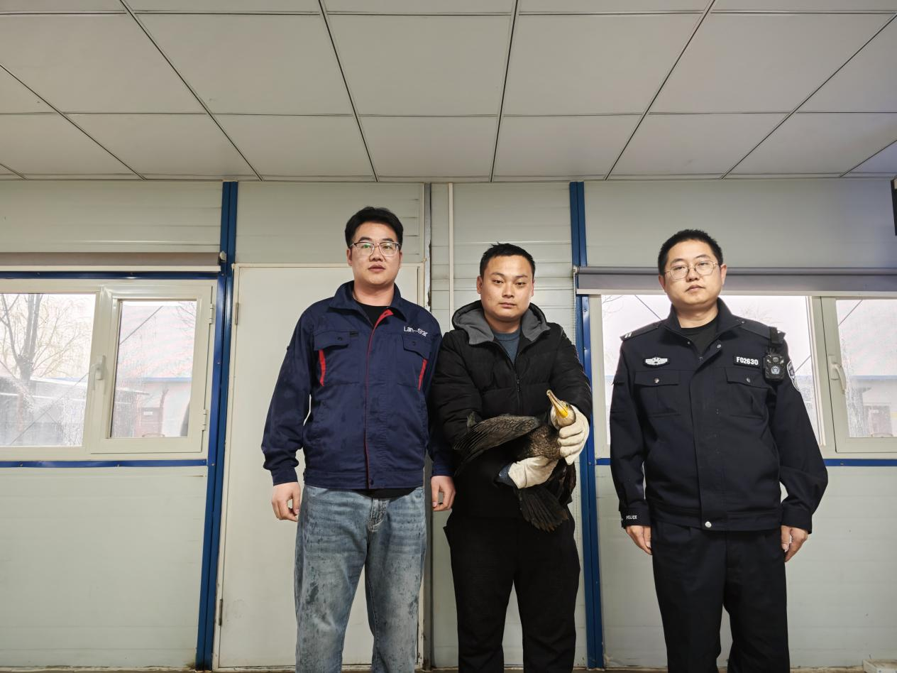 動(dòng)物救助移交現(xiàn)場(chǎng)照片 (1).png